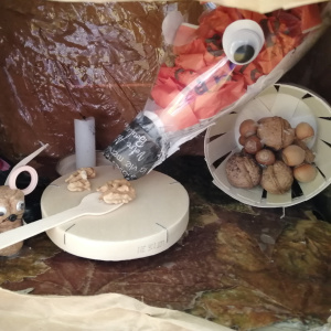 concours Gwalarn TPS-PS