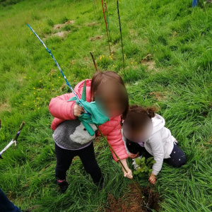 plantation 2