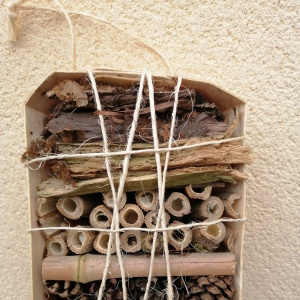 Hôtel à insectes